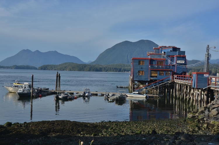 looking out over Tofino Inlet